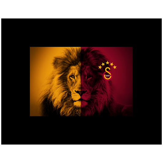 Football Lion Galatasaray 30 x 20 cm, Printing Size 460 mm