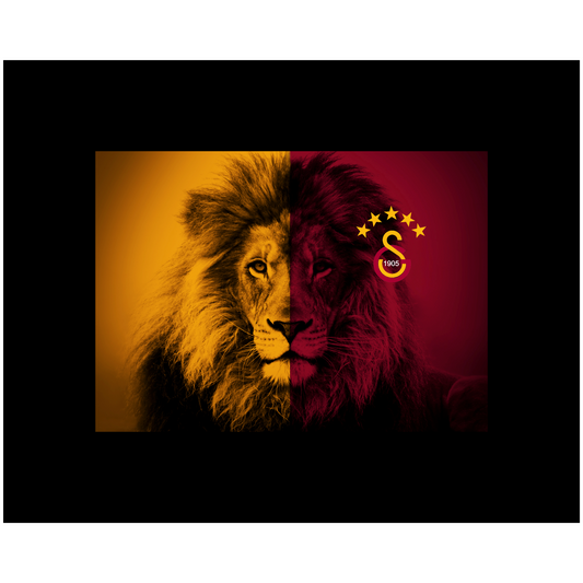 Football Lion Galatasaray 34 x 24 cm, Printing Size 500 mm