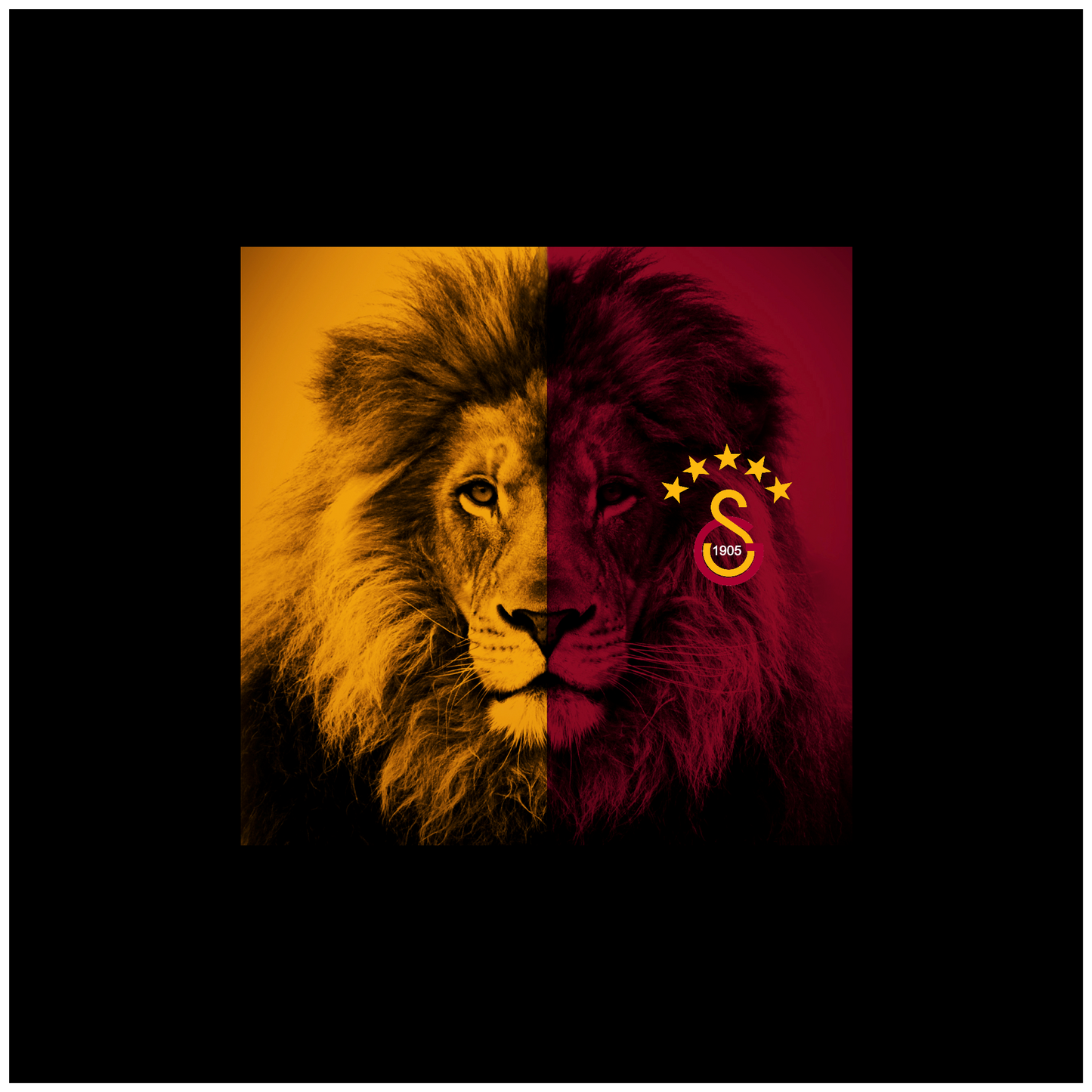 Football Square Lion Galatasaray 20 x 20 cm, Printing Size 360 mm