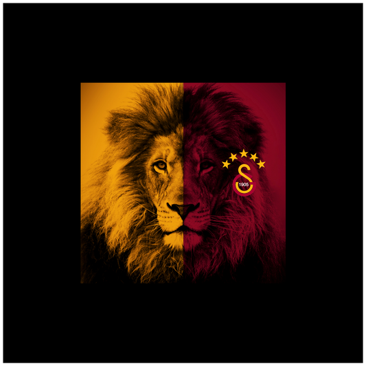Football Square Lion Galatasaray 20 x 20 cm, Printing Size 360 mm