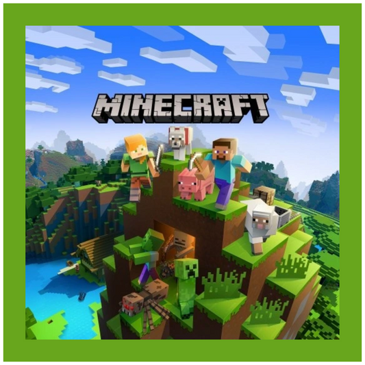 Minecraft Square 20 x 20 cm, Printing Size 360 mm