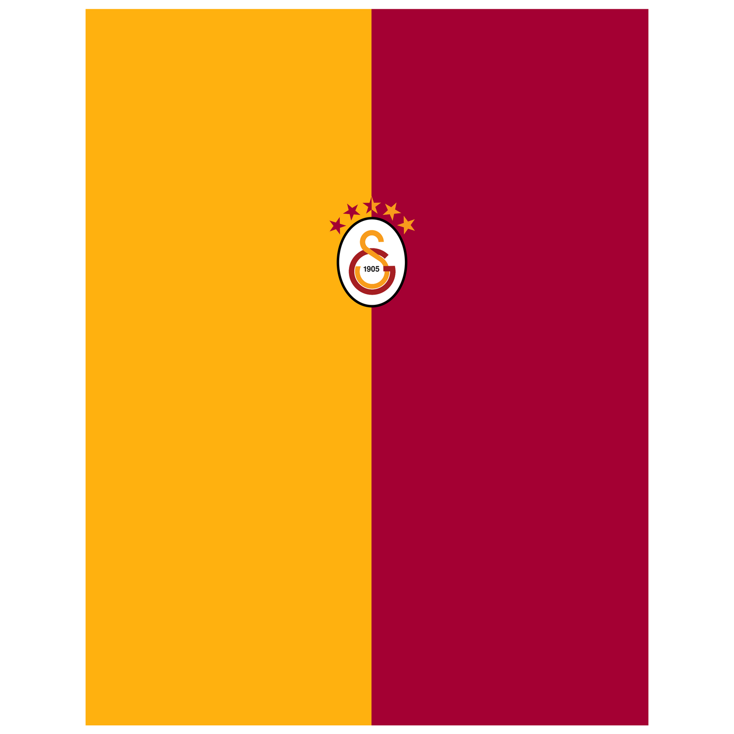 T-Shirt Galatasaray 30 x 20 cm, Printing Size 460 mm