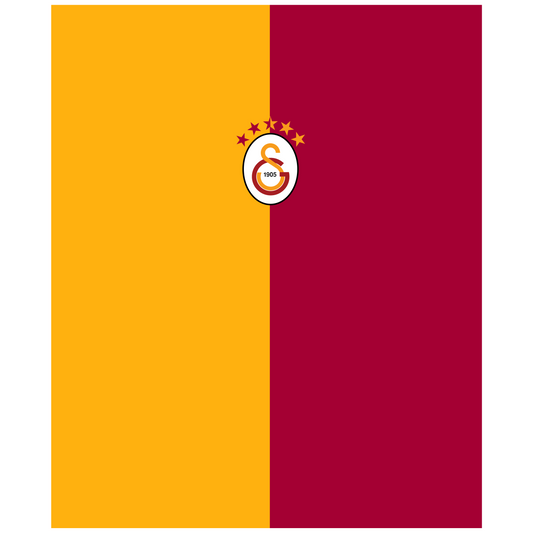 T-Shirt Galatasaray 40 x 30 cm, Printing Size 560 mm